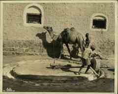 ���� ������ ��� ��� ����