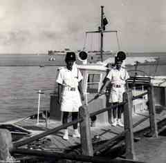 ���� ������ ��� ��� ����