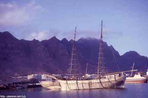 ���� ������ ��� ��� ����