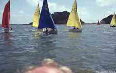 ���� ������ ��� ��� ����