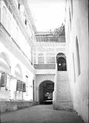 ���� ������ ��� ��� ����