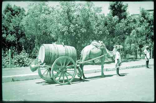 ���� ������ ��� ��� ����