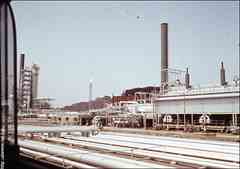 ���� ������ ��� ��� ����