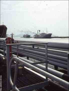 ���� ������ ��� ��� ����