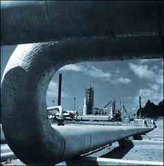 ���� ������ ��� ��� ����