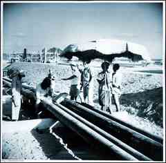 ���� ������ ��� ��� ����