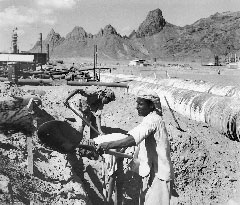 ���� ������ ��� ��� ����