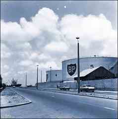 ���� ������ ��� ��� ����