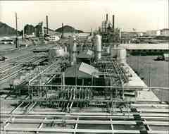 ���� ������ ��� ��� ����