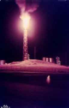 ���� ������ ��� ��� ����