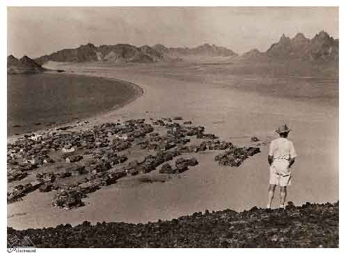 ���� ������ ��� ��� ����