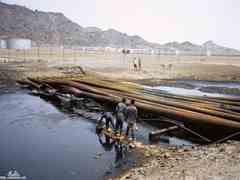 ���� ������ ��� ��� ����