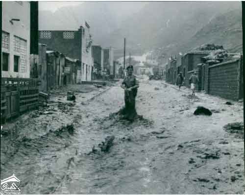 ���� ������ ��� ��� ����