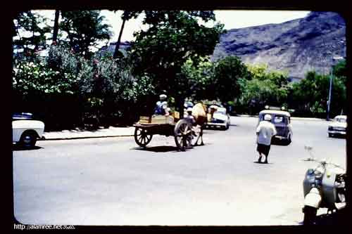 ������� ������ ��� ������� "�������" ������� ��� �� ��� 1950�