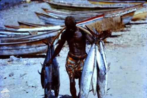 ����  �������� ���� ����  �� ���������