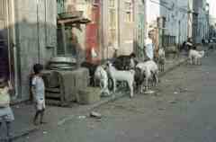 ���� ����� ��� ������� ��� ��� ������ ���� ������� �������� ��� ��� ������� ���� �������� ��������� �� ����� ������