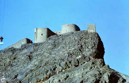 ���� ���� �� ������� ����� ������