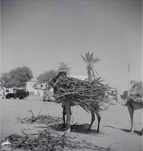 ����� ����� ��� 