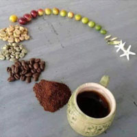 ����� ���� ��� ���� 