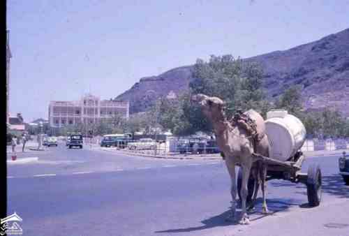 ������� ���� ��� ������ ������ �� ������ ��� 1961�