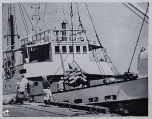 ���� ����� ������ ��� ����� ��� ���� ����� ������ ����� �������