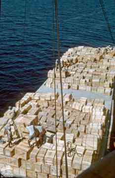 ����� ��� ��� 1958� �� ����� ����� �������� ���� ���� ������ �������� ��� ������ ��� ������� ����� ��� ����� ����� ������ ��� ������ ��� 1958�