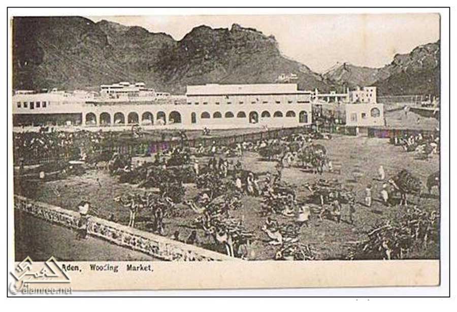 ����� ��� ����� ����� ������