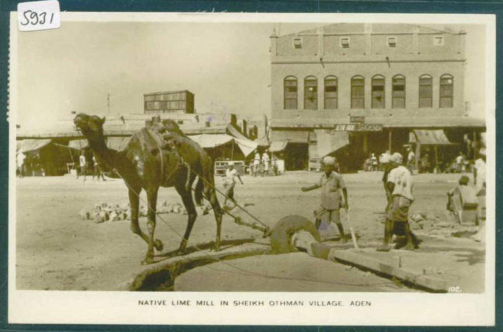 ����� ����� ���� ����� ������