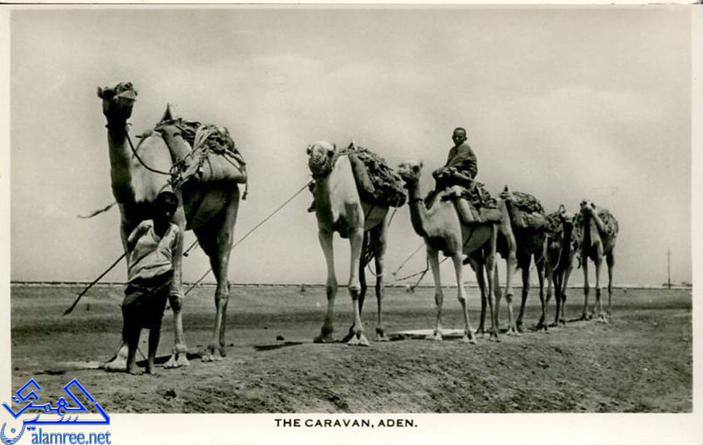 ����� �� ������ ������ ��� ������ ���� �� ���������