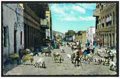 ���� ������ �� ������  �� ��������