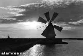 ������ ���� ���� ����� ����� ��� �������  