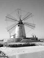 ������ ���� ���� ����� ����� ��� �������  