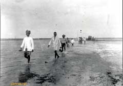 ������ ���� ����� ���� ����� ������ ���� �����