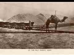 ����� ����� ����� �� ������ ������ ��� ���� ����� ������