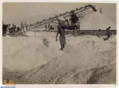 ����� ���� ������ ����� �������