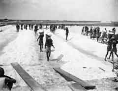 ���� ����� ����� ������ ��� ������ �� ����� ��� 1926