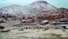 ���� ������ ��� ��� ����