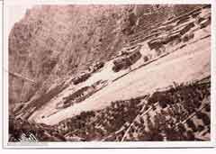 ���� ������ ��� ��� ����