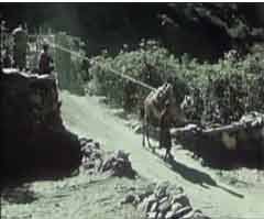 ���� ������ ��� ��� ����