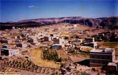 ���� ������ ��� ��� ����