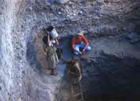 1963  ������