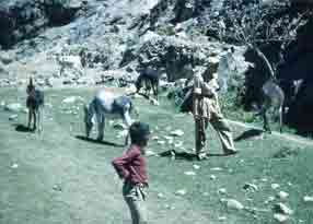 1963  ������