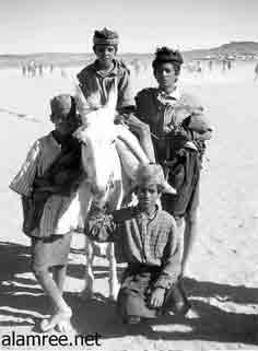 ������ �� �������� �� ����� ������