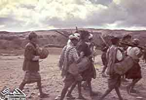 ������ ��� ����� ��� 1960