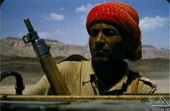 ���� ������ ��� ��� ����