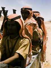 ���� ������ ��� ��� ����