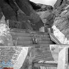 ����� ��� ����� ����� ��� 1965