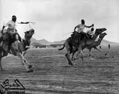 ������ ����� ������� ������� ��� 1961