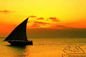 ���� ������ �������� �� ������ 