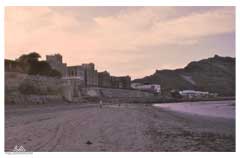 ���� ������ ��� ��� ����